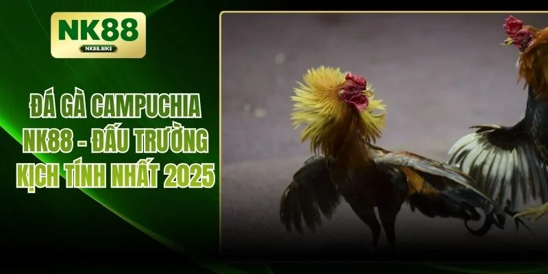 Đá Gà Campuchia NK88 - Đấu Trường Kịch Tính Nhất 2025