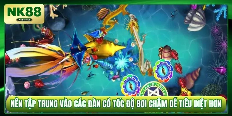 Nên tập trung vào các đàn có tốc độ bơi chậm dễ tiêu diệt hơn